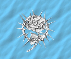 Dhamsid Rose and Thorns